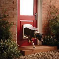 Petsafe Staywell Original 2 Way Pet Door