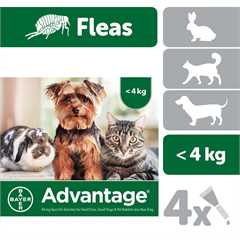 Advantage 40mg Spot-On Solution for Cats, Small Dogs and Rabbits weighing Less Than 4kg