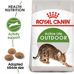 ROYAL CANIN Outdoor Dry Adult Cat Food - 4kg
