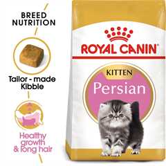 Royal Canin Breed Nutrition Persian Kitten Dry Cat Food 