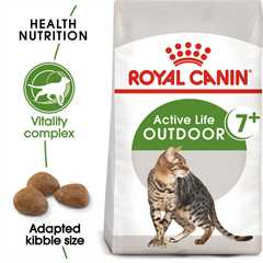 ROYAL CANIN Outdoor 7+ Dry Adult Cat Food - 4kg