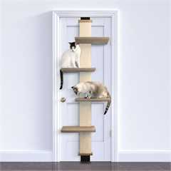 SmartCat Door Climber