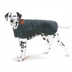 Cosipet Hunter Waxed Dog Coat -  Green