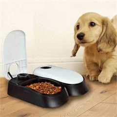 2 Meal Automatic Pet Feeder by PetPlanet