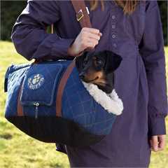 Scruffs Wilton Carrier - Blue