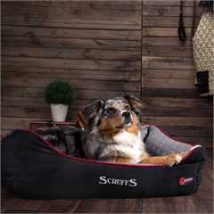Scruffs Thermal Box Bed - Large - Black & Grey