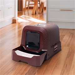 Purrshire Rattan Effect Cat Litter Pan - Brown W42 x D57 x H45cm
