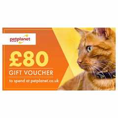 £80 Gift Voucher
