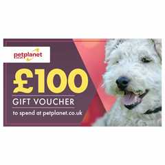 £100 Gift Voucher