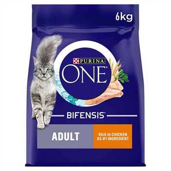 Purina ONE Adult Dry Cat Food - Chicken & Wholegrains - 6kg