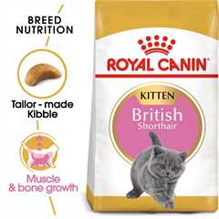 ROYAL CANIN Breed Health Nutrition British Shorthair Kitten Dry Cat Food - 10kg