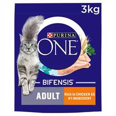 Purina ONE Adult Dry Cat Food - Wholegrains - 3kg