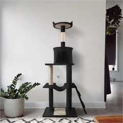 Purrshire Adventure Cat Activity Centre