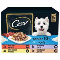 CESAR Deliciously Fresh Mixed Selection Senior 10+ Wet Dog Food in Jelly - 12x100g Pouches