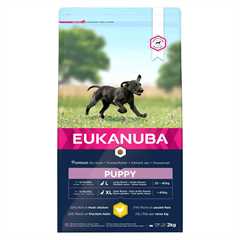 Eukanuba Large Breed Puppy Dry Dog Food - Chicken - 2kg