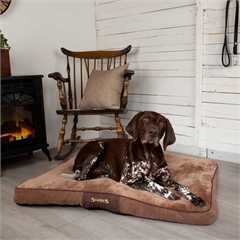 Scruffs Chester Mattress - Large - Chocolate Brown