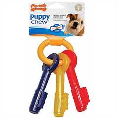 Nylabone Bacon Puppy Keys Chew - Small