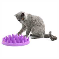 Catch Cat Slow Feeder