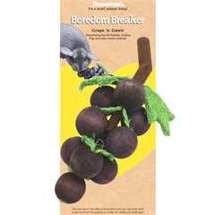 Rosewood Grape n Gnaw chew toy