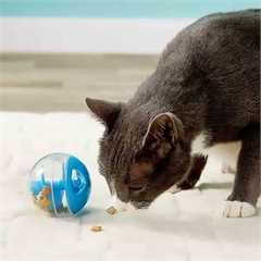 Catit Treat Ball