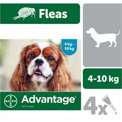 Advantage 100 Spot-On Solution for Dogs weighing 4kg-9.9kg
