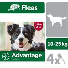 Advantage 250 Spot-On Solution for Dogs weighing 10kg-24.9kg