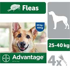 Advantage 400 Spot-On Solution for Dogs weighing 25kg plus