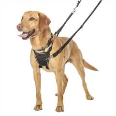 Halti No Pull Harness - Large