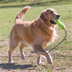 KONG Air Fetch Stick 