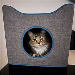 Purrshire Foldable Cat Condo