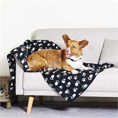 Bunty Pawprint Pet Blanket - Black - Large 140x100cm