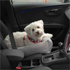 Bunty Travel Snuggle Dog Bed - 55x36cm