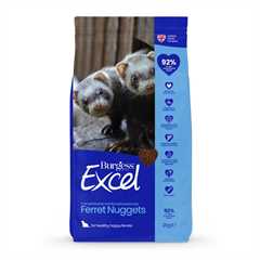 Burgess Excel Ferret Nuggets - 2kg