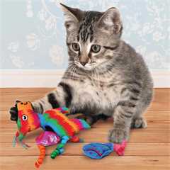 KONG Pinata Pull-A-Partz Cat Toy
