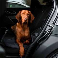 Danish Design Universal Waterproof Car Seat Cover - Dark Charcoal Grey