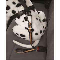 Kurgo Direct to Seatbelt Tether - Black