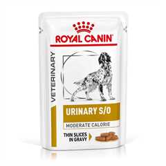 ROYAL CANIN Veterinary Urinary S/O Moderate Calorie Thin Slices in Gravy Adult Wet Dog Food - 48x100