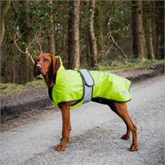 Danish Design 2-in-1 Hi Viz Dog Coat  