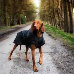 Danish Design Black Harness 2 in 1 Ultimate Dog Coat  