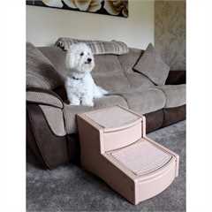Pet Gear Easy Step Pet Stairs 2 Step - 68kg Weight Capacity