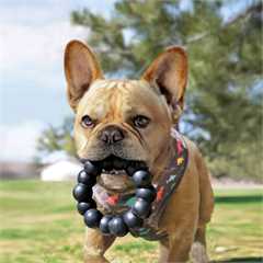 KONG Extreme Ring Dog Toy - XL