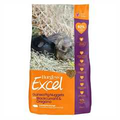 Burgess Excel Tasty Nuggets for Guinea Pigs - Blackcurrant & Oregano - 1.5kg