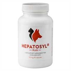 Hepatosyl Plus - 100mg - 90 Capsules