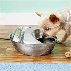 Pioneer Pet Raindrop Premium Pet Fountain - 1.8 Litres