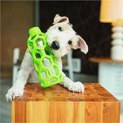 JW Hol-ee Water Bottle Dog Toy - Medium