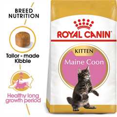ROYAL CANIN Breed Health Nutrition Maine Coon Kitten Dry Cat Food - 10kg