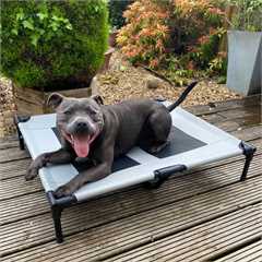 Barkshire Premium Raised Dog Bed - Large 91x76cm