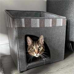 Purrshire Foldable Cat House