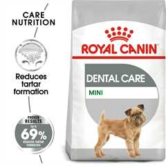 Royal Canin Size Health Nutrition Mini Dental Care Adult Dry Dog Food - 3kg
