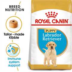 Royal Canin Breed Health Nutrition Labrador Retriever Puppy Dry Dog Food - 12kg